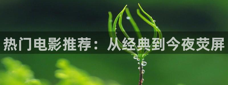 韩国激情电影麻豆：热门电影推荐：从经典到今夜荧屏