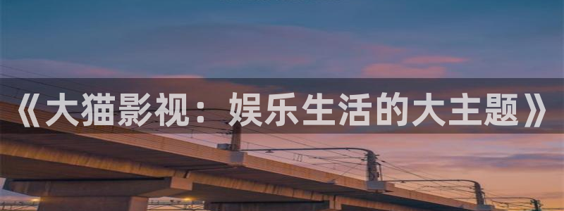 麻豆精品电影一区：《大猫影视：娱乐生活的大主题》