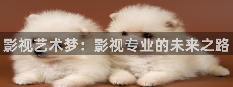 麻豆精品在线电影：影视艺术梦：影视专业的未来之路