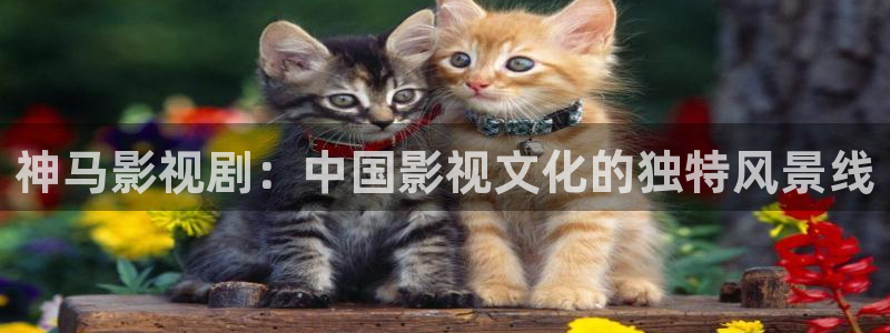 麻豆免费观看视频：神马影视剧：中国影视文化的独特风景线