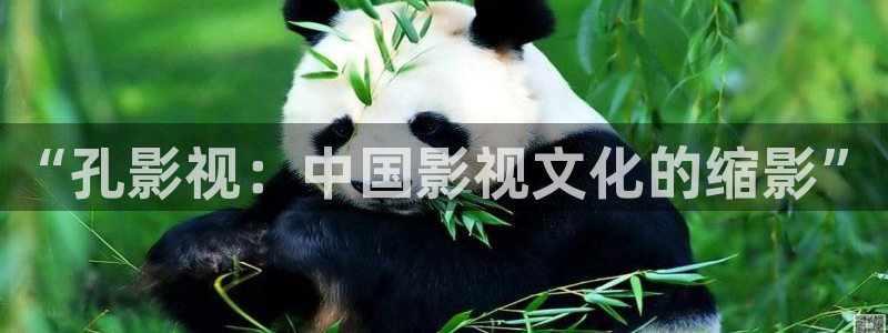 麻豆国产电影免费：“孔影视：中国影视文化的缩影”