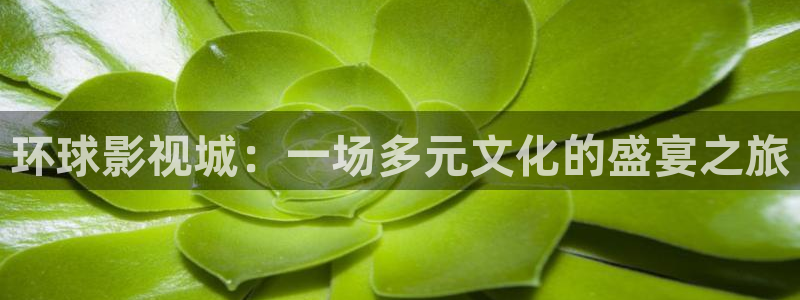 高清18麻豆：环球影视城：一场多元文化的盛宴之旅