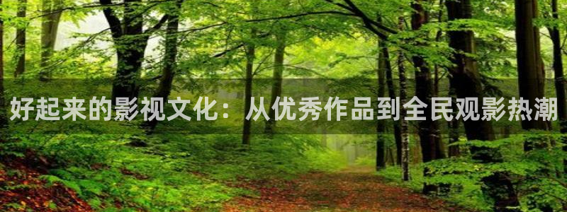 麻豆免费版在线播放网站观看视频：好起来的影视文化：从优秀作品到全民观影热潮