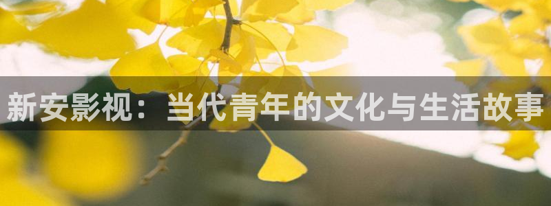 麻豆国产96在线 | 日韩：新安影视：当代青年的文化与生活故事