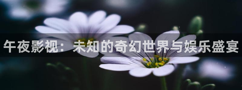 麻豆电影资源在线：午夜影视：未知的奇幻世界与娱乐盛宴