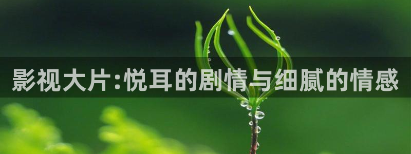 麻豆沈芯语电影在线观看：影视大片:悦耳的剧情与细腻的情感