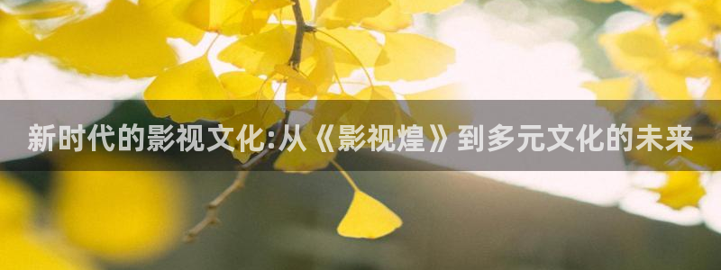 麻豆在线观看免费高清电视剧：新时代的影视文化:从《影视煌》到多元文化的未来
