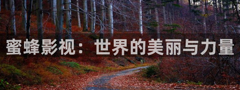 99电影麻豆：蜜蜂影视：世界的美丽与力量
