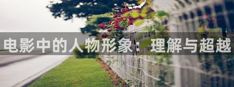 麻豆手机电影：电影中的人物形象：理解与超越