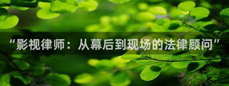 麻豆影视精品在线观看：“影视律师：从幕后到现场的法律顾问”