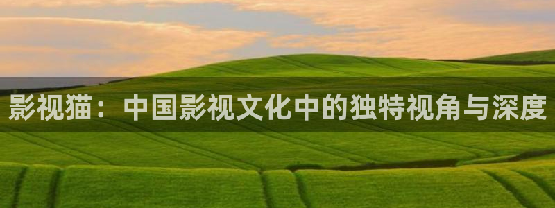 麻豆看片片：影视猫：中国影视文化中的独特视角与深度