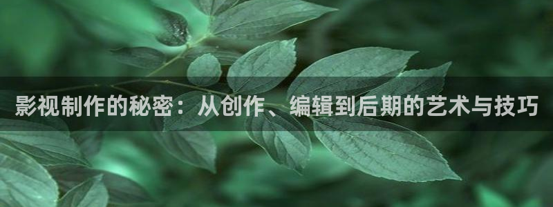 麻豆免费在线观看下载：影视制作的秘密：从创作、编辑到后期的艺术与技巧